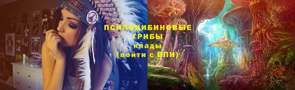 2c-b Новодвинск