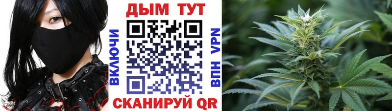Канабис гибрид  Усть-Катав 